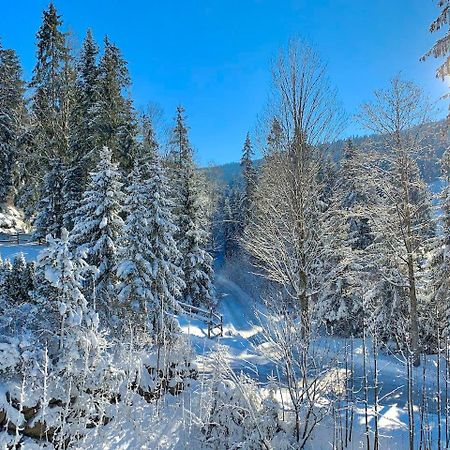 Apartamento Haus Widmann Scheffau am Wilden Kaiser Exterior foto